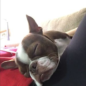 Meet your Posher, Mandi